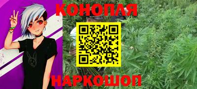 шишки Долгопрудный